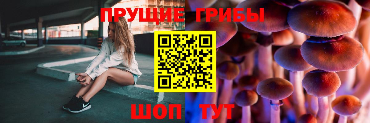 Галлюциногенные грибы Psilocybe Мончегорск